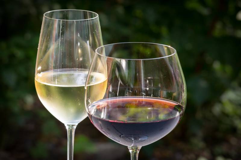 Où trouver une bonne cave à vin qui propose des vins nature et bio pour une soirée entre amis Dans le centre d'Aix-en-Provence en région PACA La Méduse